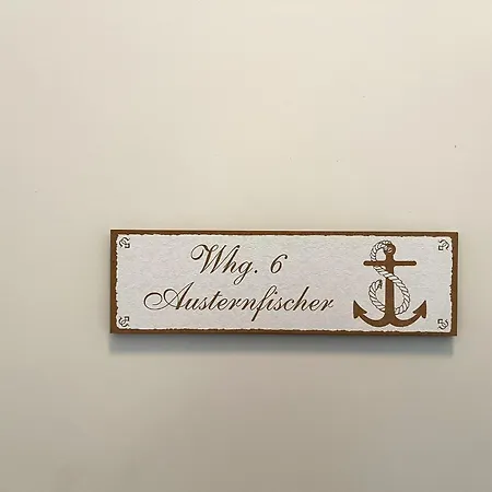 Austernfischer Büsum